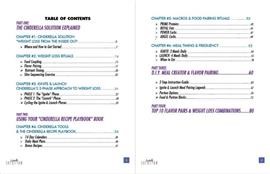 Cinderella Solution Diet Book